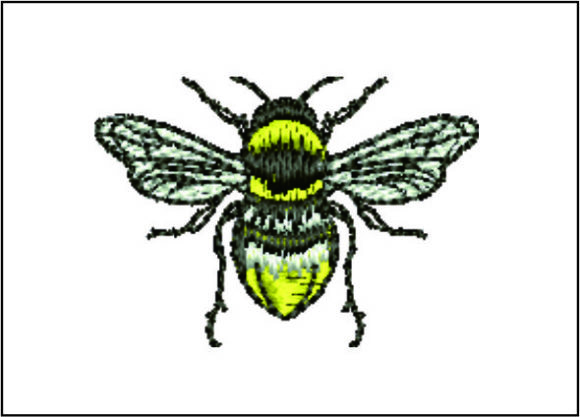 Bee Detailed: A Designer’s Review for Gifts