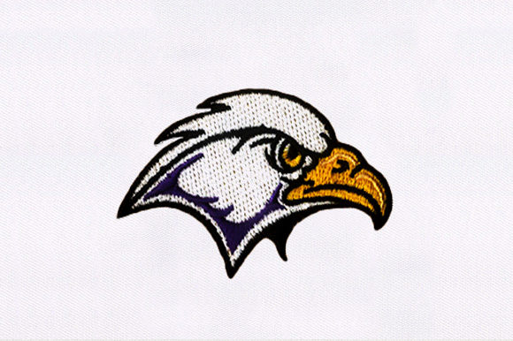 Hawk Face: A Bold and Eye-Catching Design